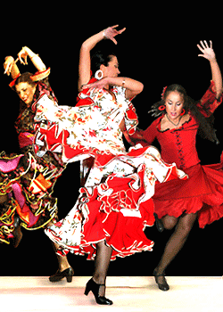    - Flamenco - Duende De Mi Corazon(
